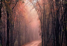 达拉斯独行侠发布备战花絮，今晨伤情更新，葡超任务艰巨，团队化学反应显著的简单介绍-开云app官网